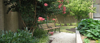 Bench inside the Garden